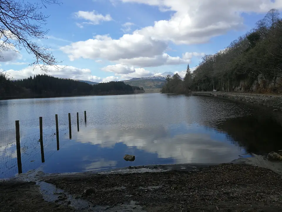 Loch Ard on a still day, with fence posts standing in the shallows and wooded hills beyond