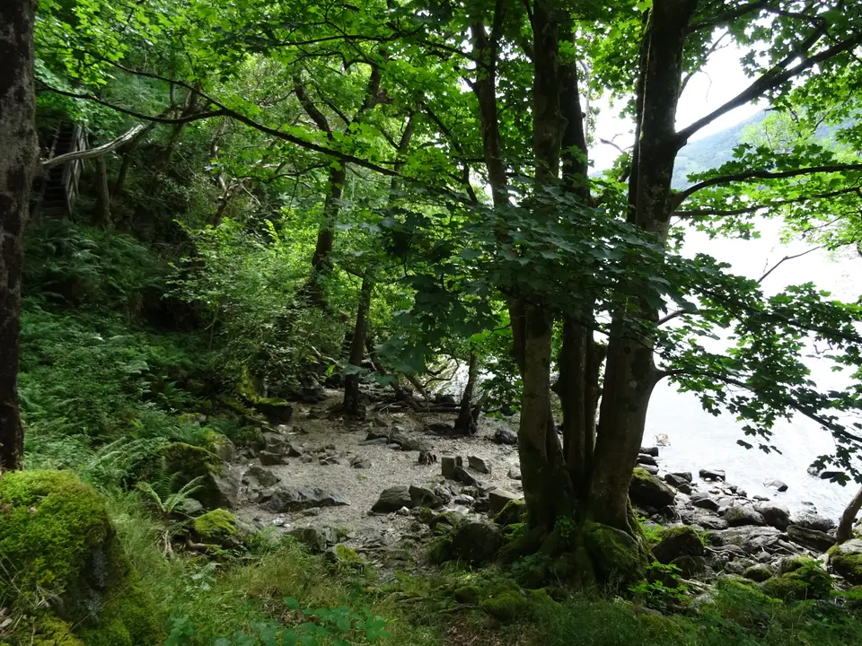 A quiet beach on the shore of Loch Lomond