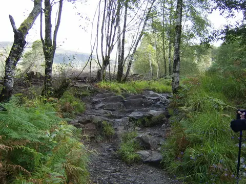 Rocky path on the lower slopes of Ben Lomond near Rowardennan