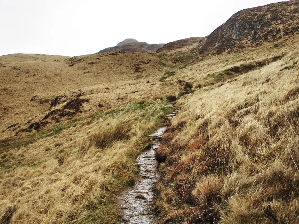 A wet, narrow path through grass on the Ptarmigan Ridge route up Ben Lomond