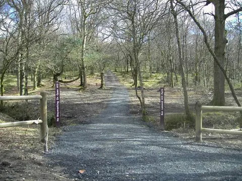 The start of the Ben Lomond Tourist Path through woodland