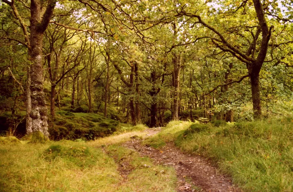 The walk up to the summit of Ben Venue in the Trossachs