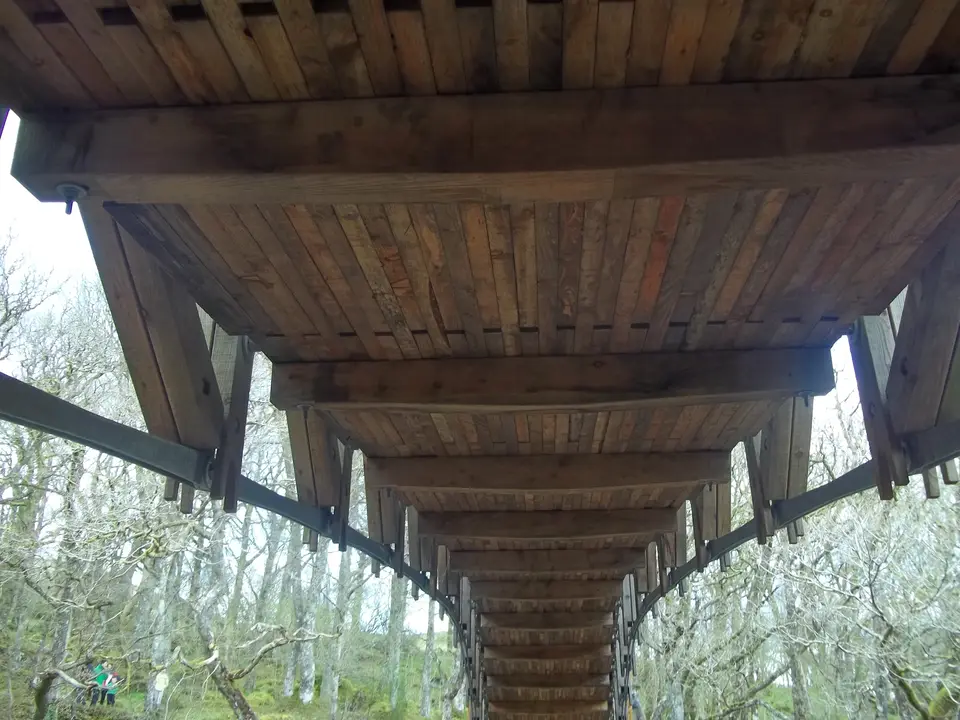 Looking up at the timber underside of the Bracklinn Falls bridge among bare trees