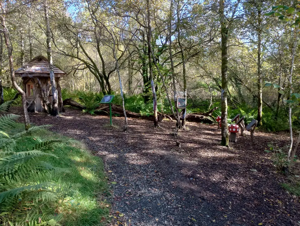 A woodland walk in the parish of Luss near Loch Lomond