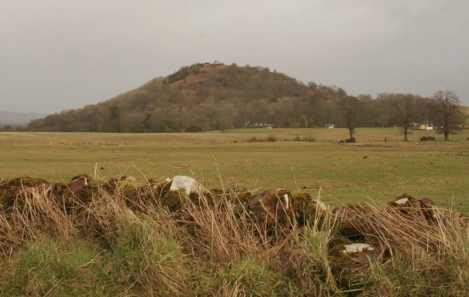 Duncryne Hill, the Dumpling, rising above farmland near Gartocharn