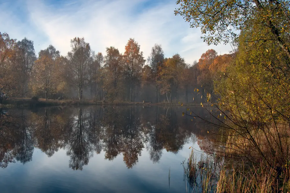 Autumn trees reflected in a still lochan beside the David Marshall Lodge near Aberfoyle, in the forest park
