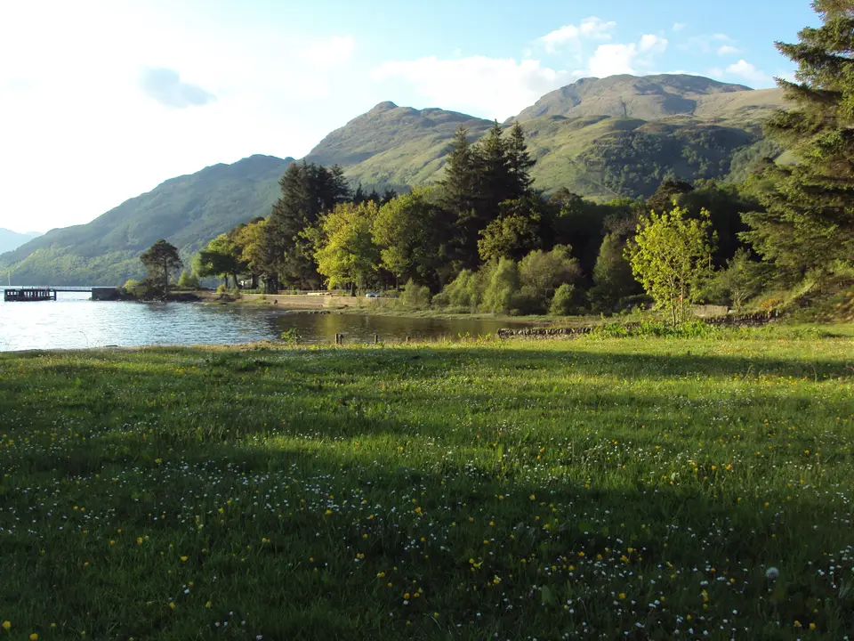 Green meadow with yellow wildflowers beside Loch Lomond at Rowardennan, trees and a jetty on the shore and hills beyond