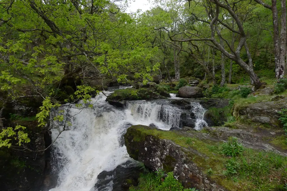 A waterfall tumbling over rocks between green trees at Inversnaid
