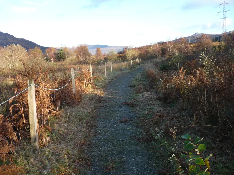 The Great Trossachs Path approaching the Stronachlachar road