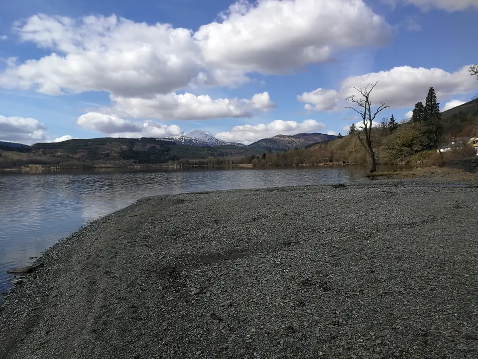 The gravel shore of Loch Ard in the Trossachs, with a bare tree, the water and hills under a cloudy sky