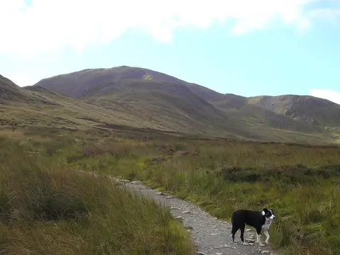 The summit of Ben Vorlich seen from the Ardvorlich path