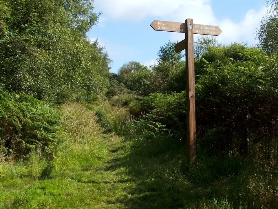 A timber fingerpost on the Three Lochs Way where a grassy track meets a path through bracken