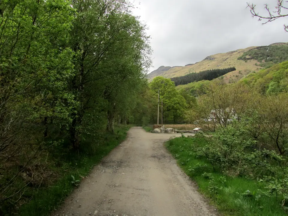A wide track of the West Highland Way with wooded hills ahead north of Rowardennan