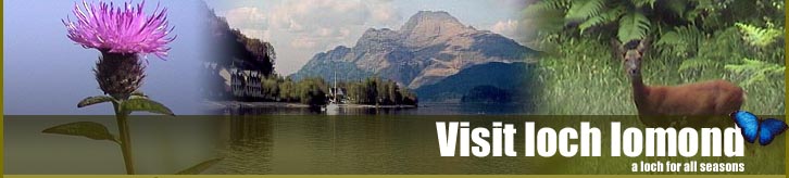 loch lomond accommodation 